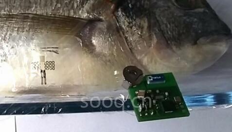 瑞士研发可食用温度传感器 解决食物保鲜难题